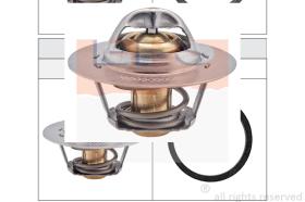 EXCLUSIVAS BCN 1880239S - TERMOSTATO EPS