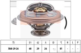 EXCLUSIVAS BCN 1880250S - TERMOSTATO EPS