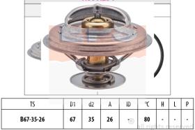 EXCLUSIVAS BCN 1880254S - TERMOSTATO EPS