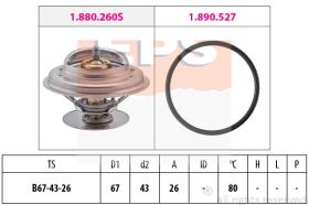 EXCLUSIVAS BCN 1880260 - TERMOSTATO EPS