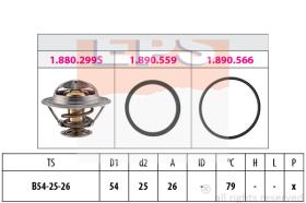EXCLUSIVAS BCN 1880299 - TERMOSTATO EPS