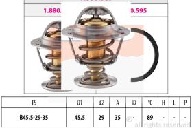 EXCLUSIVAS BCN 1880389S - TERMOSTATO EPS