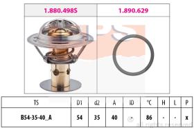 EXCLUSIVAS BCN 1880498 - TERMOSTATO EPS