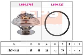 EXCLUSIVAS BCN 1880577 - TERMOSTATO EPS