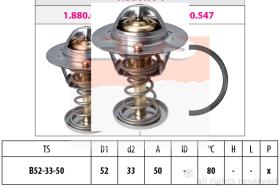 EXCLUSIVAS BCN 1880674S - TERMOSTATO EPS