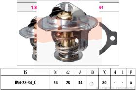 EXCLUSIVAS BCN 1880694S - TERMOSTATO EPS